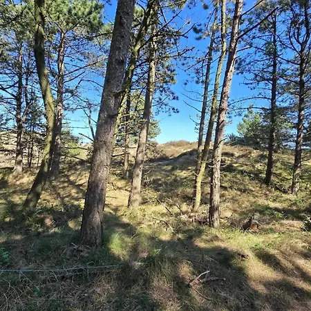 بيت للعطل 6 Person In Romo-by Traum Sønderby